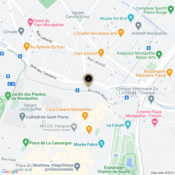 plan de l'agence Shiva montpellier-louis-blanc